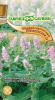 Шалфей Мускатный Вознесенский 24 GSH 0,3г (Мн)®