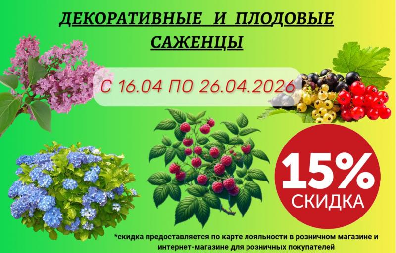 АКЦИЯ НА САЖЕНЦЫ ДЕКОРАТИВНЫХ И ПЛОДОВЫХ КУСТАРНИКОВ