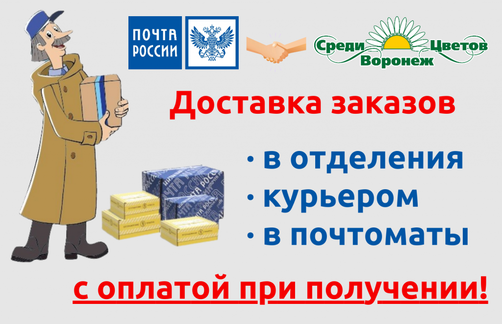 баннер почта 2.png